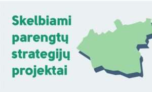 strategija