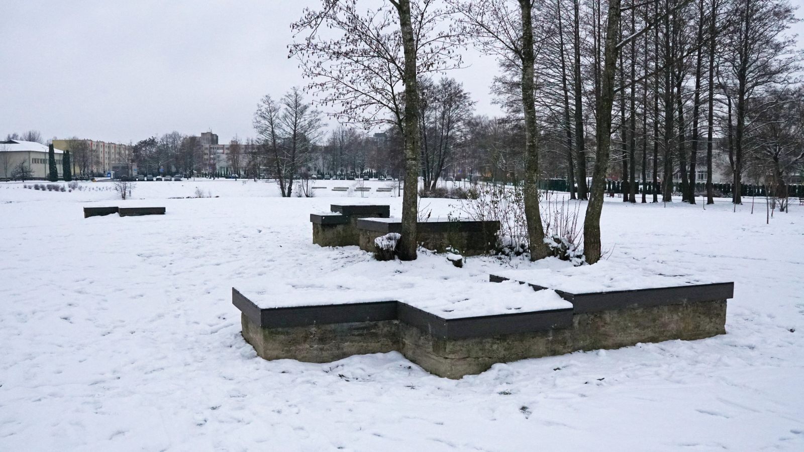 DSC09138