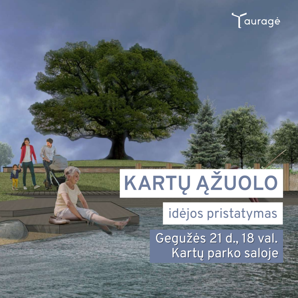 Kartų ąžuolo idėjos projektas