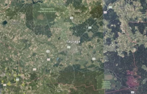 Tauragės žemėlapis